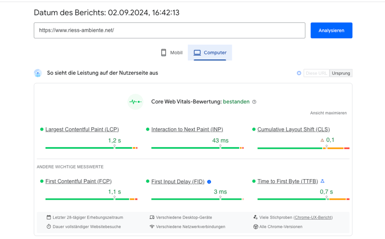 Blog_Checkout Optimierung_Pagespeed Riess-Ambiente